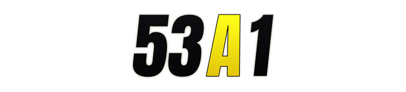 53a1